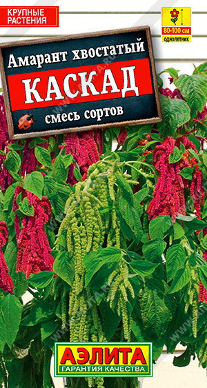 1175A Амарант Каскад, смесь сортов 0,5гр