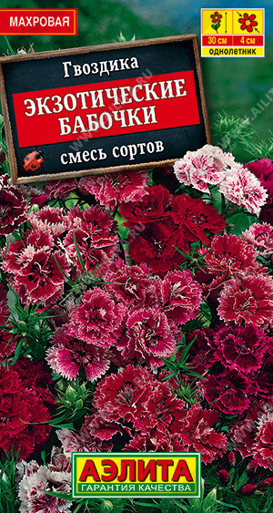 1376A Гвоздика Экзотические бабочки, смесь сортов 0,1гр
