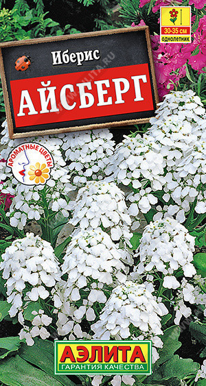 1480A Иберис Айсберг однолетний 0,2 г
