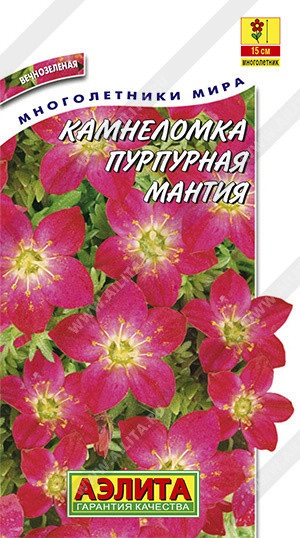 1478A Камнеломка Пурпурная мантия 0,01гр