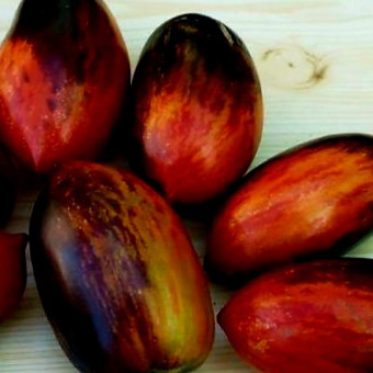 7146T Томат Бой с тенью 10шт