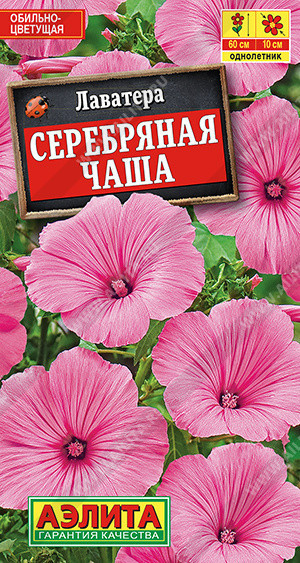 1581A Лаватера Серебряная чаша 0,3 г
