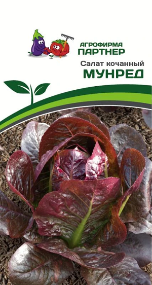3152P Салат кочанный МУНРЕД 15 шт