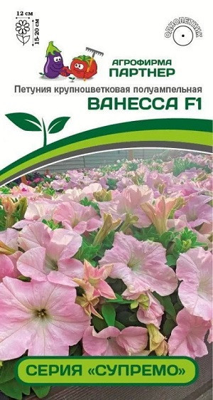 3362P Петуния серия "Супремо" ВАНЕССА F1 / крупноцветковая полуампельная 5шт 3362P Петуния серия "Супремо" ВАНЕССА F1 / крупноцветковая полуампельная 5шт