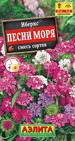 1482A Иберис Песни моря, смесь сортов 0,1 г
