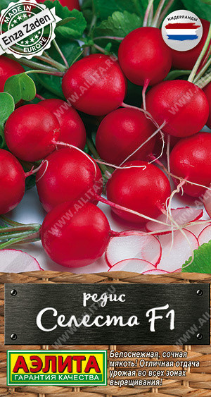 0796A Редис Селеста F1 0,5гр