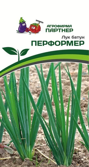 3054P Лук батун ПЕРФОРМЕР 1 г