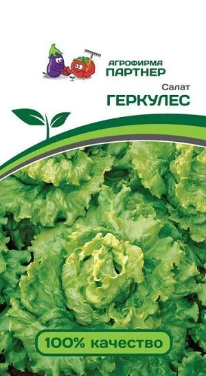 3154P Салат листовой ГЕРКУЛЕС 0,5 г