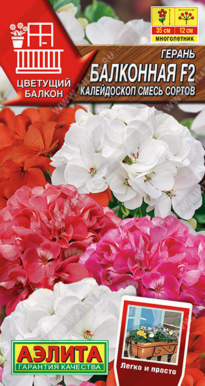 1397A Герань Балконная калейдоскоп F2, смесь сортов 5шт 1397A Герань Балконная калейдоскоп F2, смесь сортов 5шт