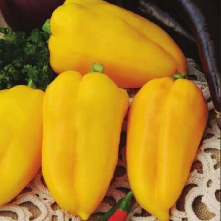 5061D Перец сладкий Гладиатор Агро 5шт 5061D Перец сладкий Гладиатор Агро 5шт