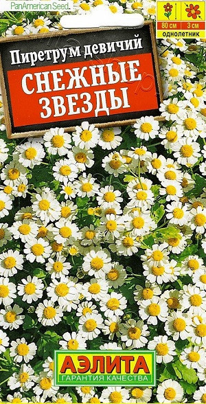 1784A Пиретрум Снежные звезды 7 шт