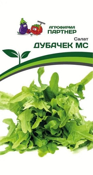 3155P Салат листовой ДУБАЧЕК МС 0,5 г