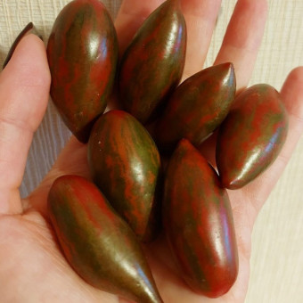 7142T Томат Фиолетовый смарагд 10 шт