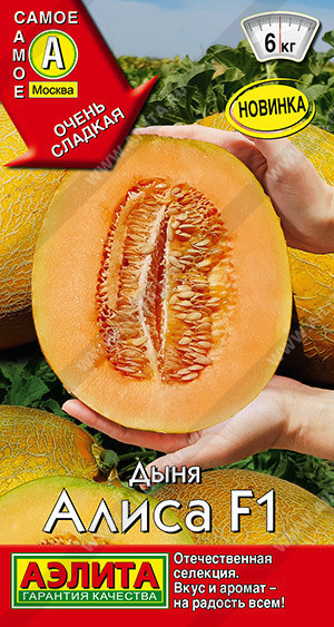 0398A Дыня Алиса F1 10шт