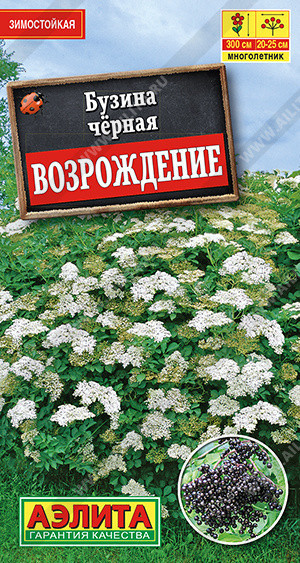 1298A Бузина черная Возрождение 0,5гр