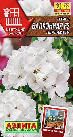 1398A Герань Балконная перламутр F2 5шт 1398A Герань Балконная перламутр F2 5шт