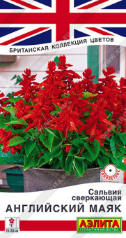 1786A Сальвия сверкающая Английский маяк 7шт