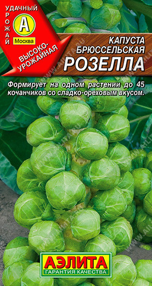 0485A Капуста брюссельская Розелла 0,3 г