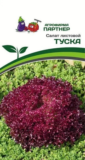 3156P Салат листовой ТУСКА 15 шт