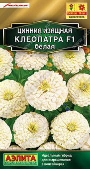 1899A Цинния Клеопатра F1 белая 12шт