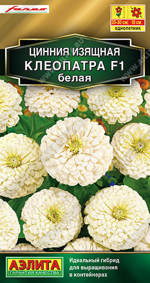 1899A Цинния Клеопатра F1 белая 12шт 1899A Цинния Клеопатра F1 белая 12шт