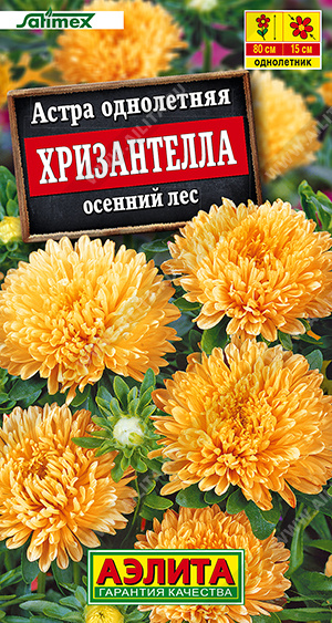 1996A Астра Хризантелла осенний лес 15шт 1996A Астра Хризантелла осенний лес 15шт