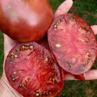 7152T Томат Шоколадница 10шт