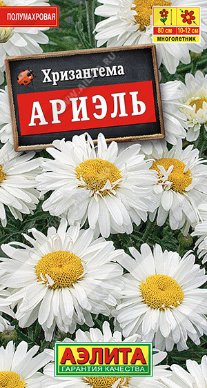 1886A Хризантема Ариэль 0,1 г