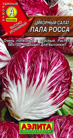 1081A Цикорный салат Пала Росса 0,5гр