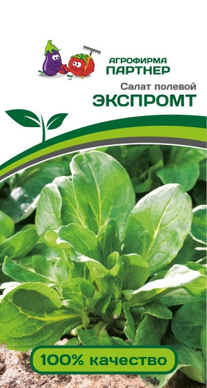 3158P Салат полевой ЭКСПРОМТ 1 г