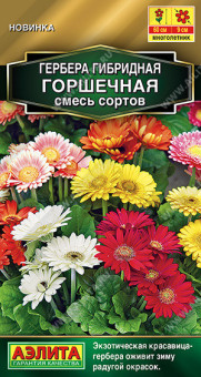 1401A Гербера Горшечная, смесь сортов 10шт