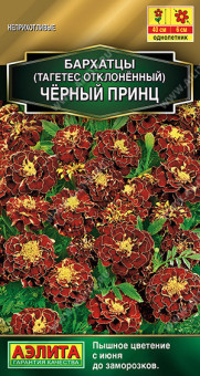 1284A Бархатцы Черный принц отклоненные 0,3гр