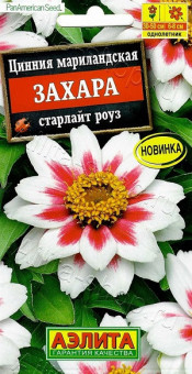 1892A Цинния Захара старлайт роуз 5шт