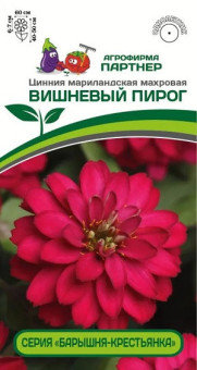 3377P Цинния ВИШНЕВЫЙ ПИРОГ / мариландская махровая 5шт