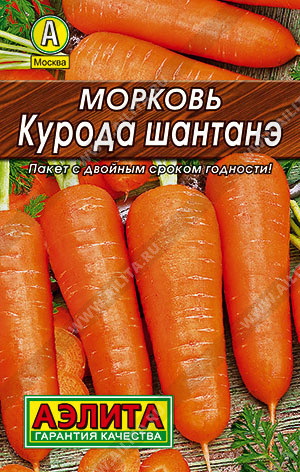 0088L Морковь Курода шантанэ 2 г
