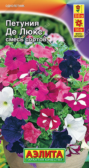 1690A Петуния Де Люкс многоцветковая, смесь сортов 0,1гр