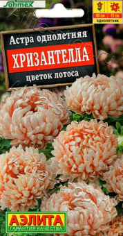 1999A Астра Хризантелла цветок лотоса 15шт