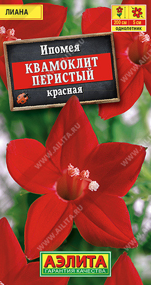 1489A Ипомея Квамоклит красная 0,5 г