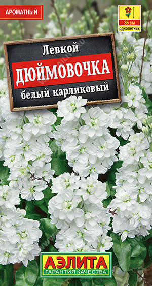 1589A Левкой карликовый Дюймовочка белый 0,05 г
