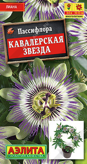 1689A Пассифлора Кавалерская звезда 5 шт