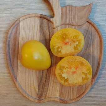 7156Т Томат Белое сердце Софии 5шт