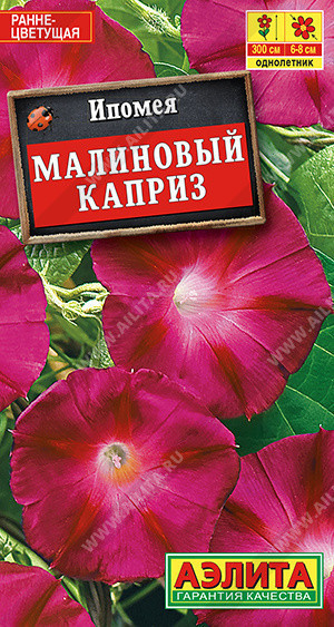 1490A Ипомея Малиновый каприз 1 г