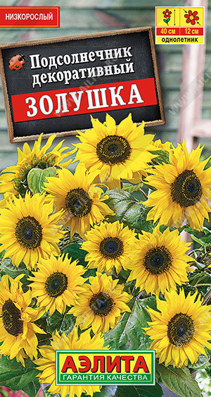 1790A Подсолнечник Золушка 0,5 г