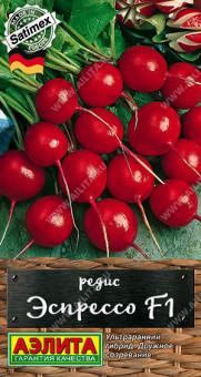 0804A Редис Эспрессо F1 1гр