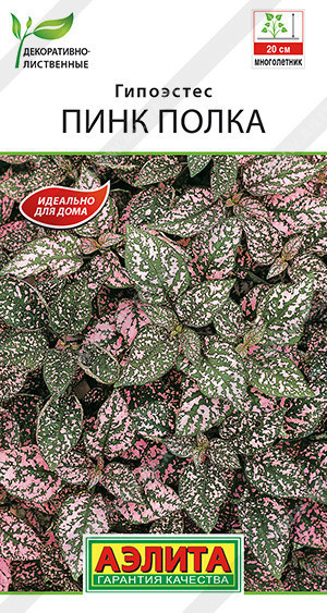 1404A Гипоэстес Пинк Полка 20шт 1404A Гипоэстес Пинк Полка 20шт