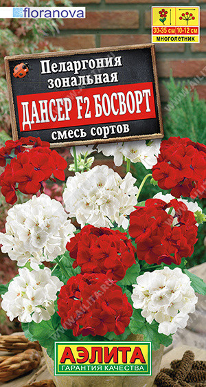 1691A Пеларгония Дансер F2 Босворт, смесь сортов 5 шт