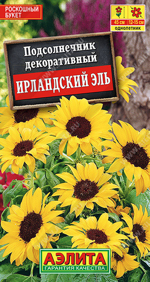 1791A Подсолнечник Ирландский эль 0,5 г