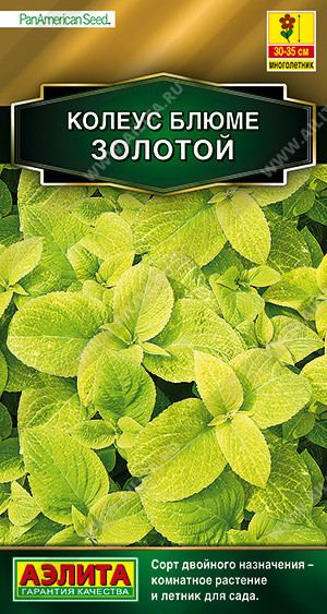 1505A Колеус блюме Золотой 5шт 1505A Колеус блюме Золотой 5шт