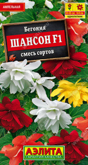1288A Бегония ампельная Шансон F1, смесь сортов 10шт