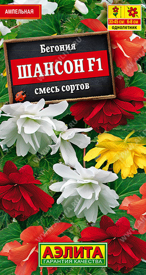 1288A Бегония ампельная Шансон F1, смесь сортов 10шт